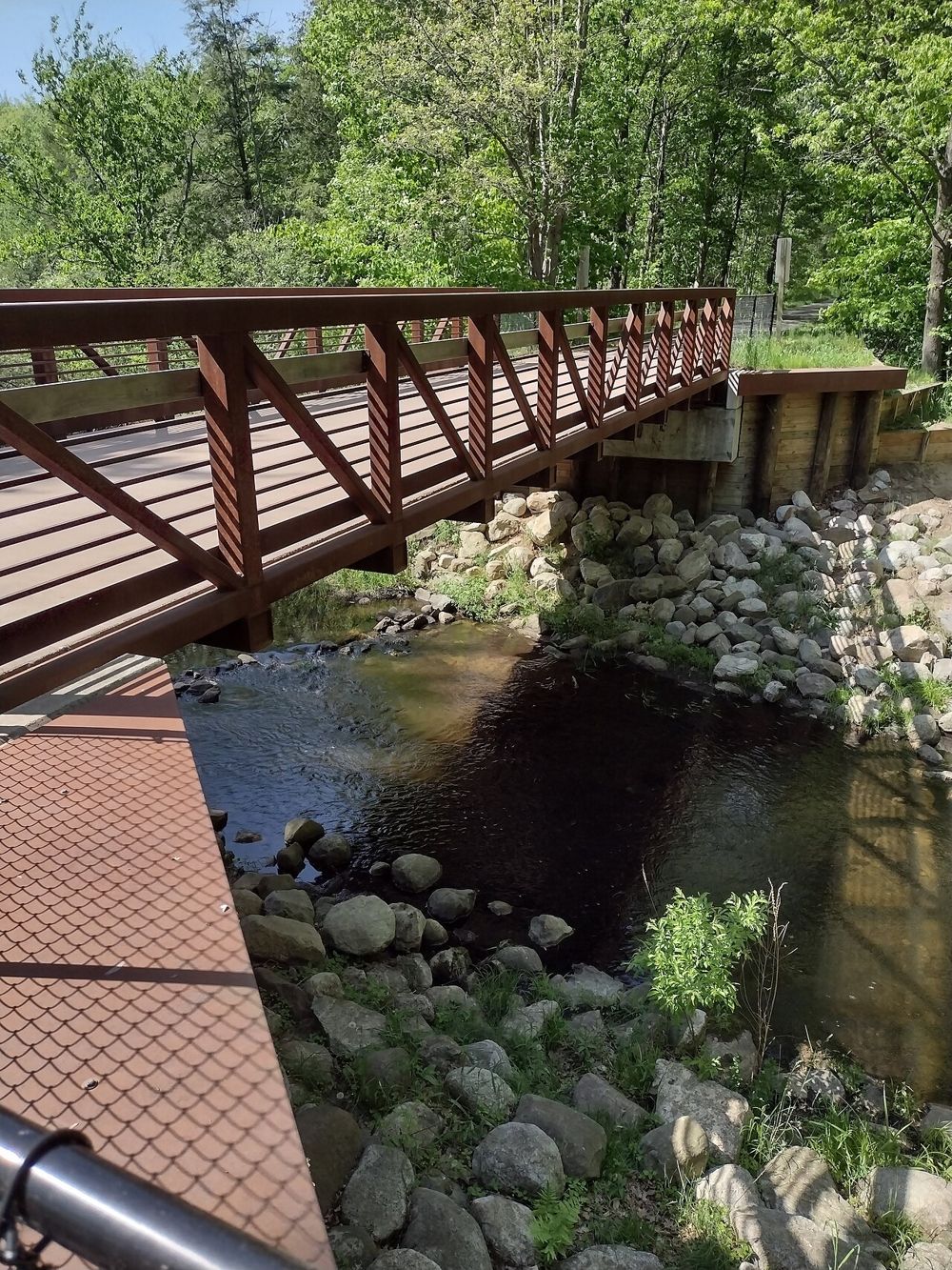 A footbridge on the Hart-Montague Trail, Oceana County, Michigan